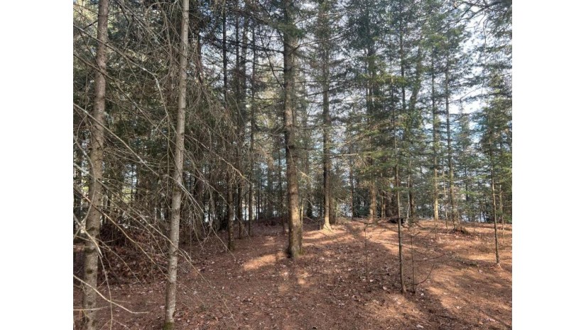 Lot 4 On Hug Ln Saint Germain, WI 54558 by Century 21 Burkett - Three Lks $299,000