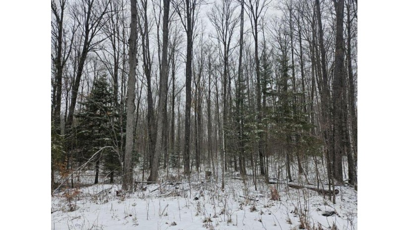 On Trott Rd Mellen, WI 54546 by Birchland Realty, Inc. - Phillips $89,900