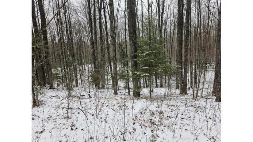 On Trott Rd Mellen, WI 54546 by Birchland Realty, Inc. - Phillips $89,900