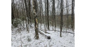 On Trott Rd Mellen, WI 54546 by Birchland Realty, Inc. - Phillips $89,900