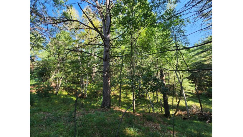 Lot 38 Golfway Ct Minocqua, WI 54548 by Redman Realty Group, Llc $14,900