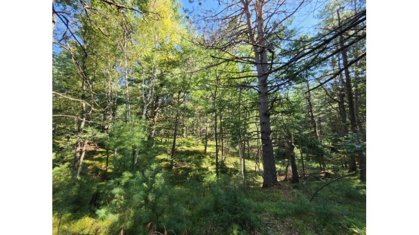 Lot 38 Golfway Ct Minocqua, WI 54548 by Redman Realty Group, Llc $14,900