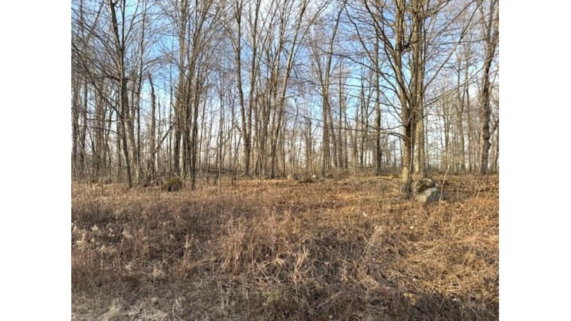 Lot1 Thorn Apple Dr Wittenberg, WI 54499 by Shorewest Realtors $28,500
