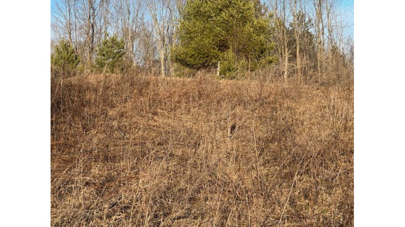 Lot 6 Thorn Apple Dr Wittenberg, WI 54499 by Shorewest Realtors $29,900