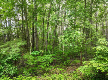 Lot 2 Cottage Rd, Tomahawk, WI 54487