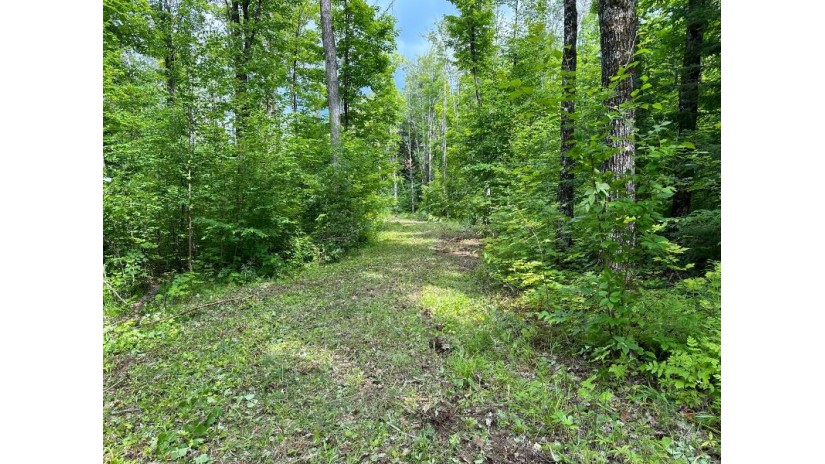 Off Forest Rd 8300 Marenisco, MI 49947 by First Weber - Bessemer $64,900