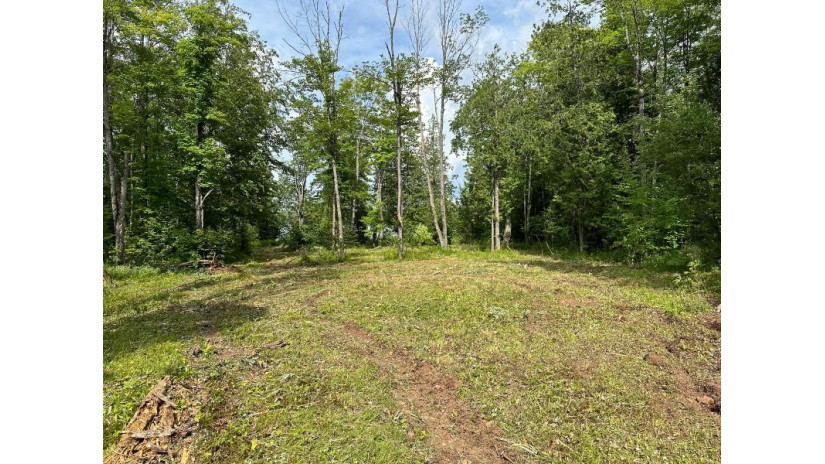 Off Forest Rd 8300 Marenisco, MI 49947 by First Weber - Bessemer $64,900