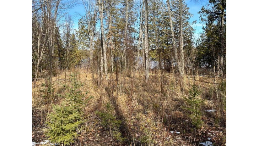 Off Forest Rd 8300 Marenisco, MI 49947 by First Weber - Bessemer $64,900