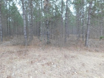 Lot 1 Brown Creek, Tomahawk, WI 54487