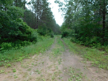 Lot 3 Brown Creek, Tomahawk, WI 54487