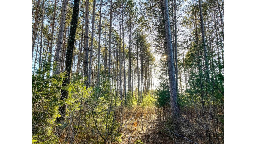 Lot 4 Pine Ridge Ln Tomahawk, WI 54487 by Northwoods Community Realty, Llc $30,000