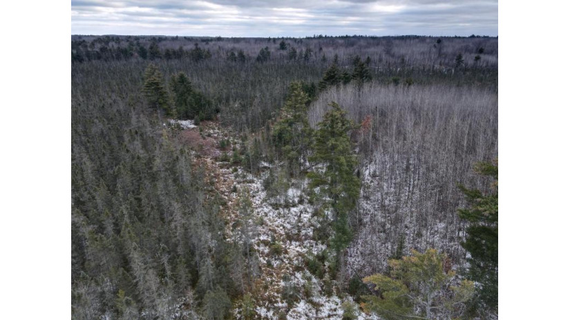 Off Hwy 51 84 Acres Hazelhurst, WI 54531 by Shorewest Realtors $284,500