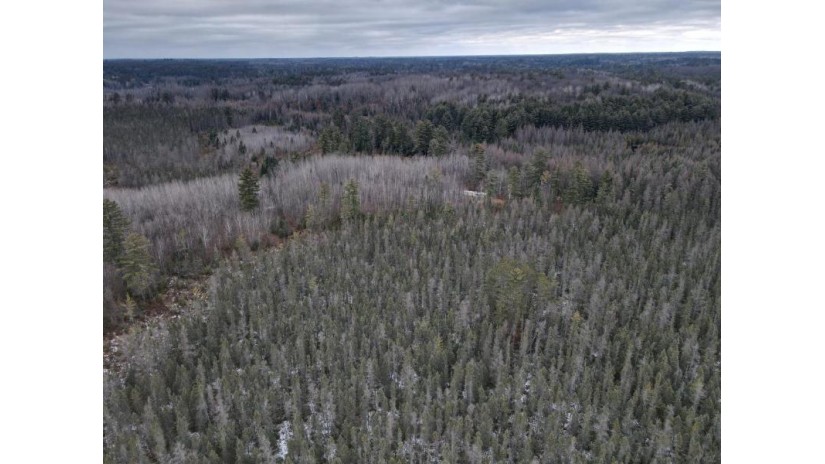 Off Hwy 51 84 Acres Hazelhurst, WI 54531 by Shorewest Realtors $284,500