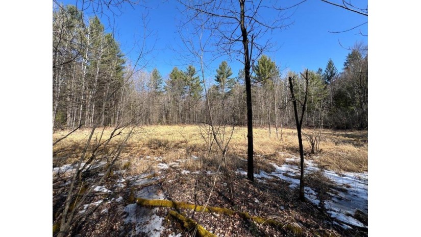 On Forest Loop Rd Rhinelander, WI 54501 by Shorewest Realtors $115,900