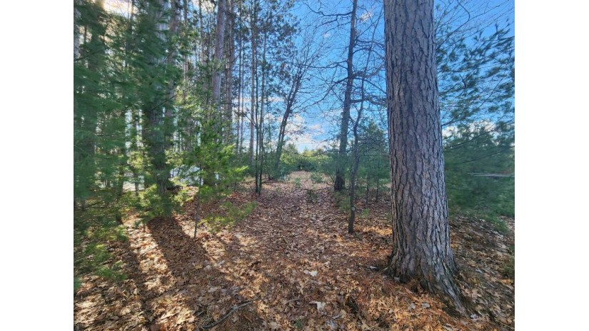 2 Lots Plaza Dr Minocqua, WI 54548 by Redman Realty Group, Llc $249,000