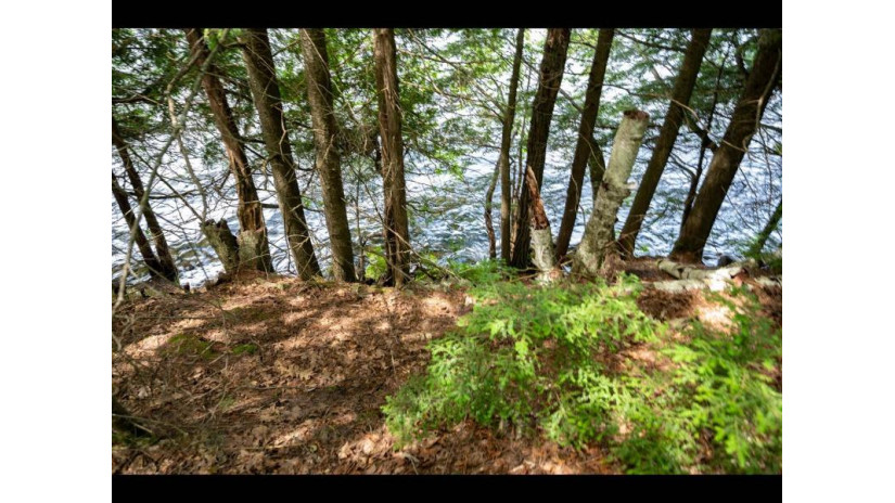 Lot 10 Lupine Ln Phelps, WI 54554 by Gold Bar Realty $240,000