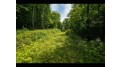 Lot 10 Lupine Ln Phelps, WI 54554 by Gold Bar Realty $240,000