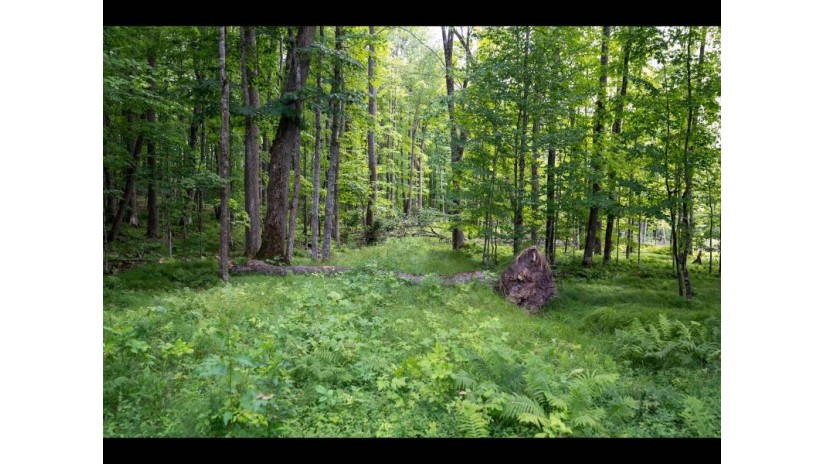 Lot 10 Lupine Ln Phelps, WI 54554 by Gold Bar Realty $240,000