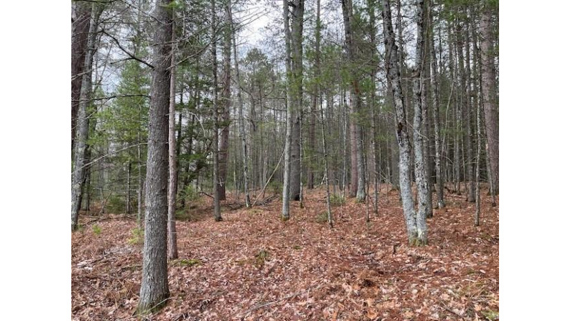 On W Forest Lake Rd Lot 5 Land O Lakes, WI 54540 by Eliason Realty - Land O Lakes $48,900