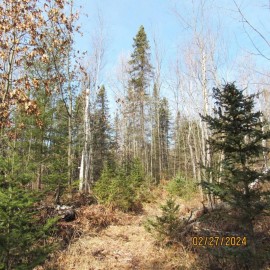 25.8acre Adams Ln, Tomahawk, WI 54487