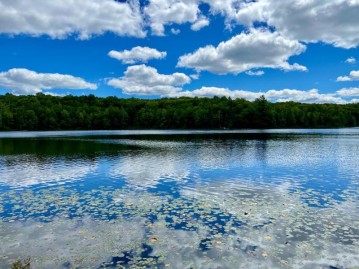 On Beaver Station Rd, Watersmeet, MI 49969