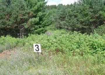 Lot 3 Dylan Lane, Cable, WI 54821