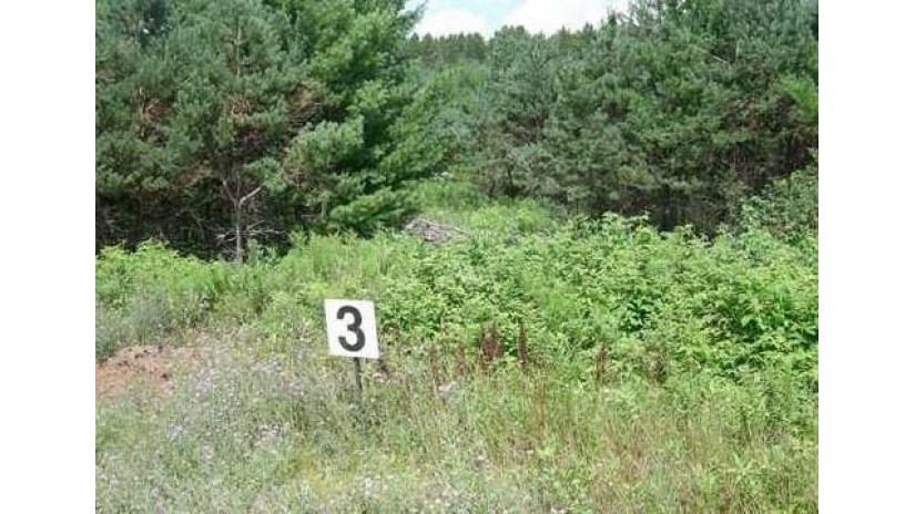 Lot 3 Dylan Lane Cable, WI 54821 by Camp David Realty $34,900