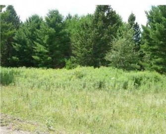 Lot 9 Owen Lane, Cable, WI 54821