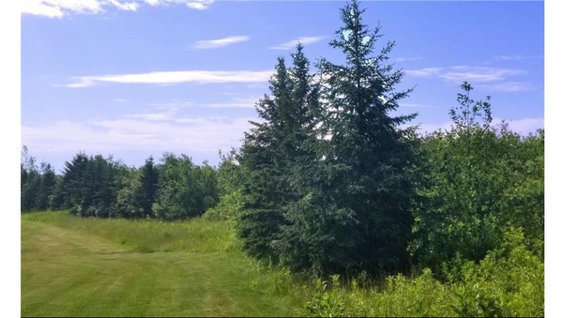 Lots 3, 4, 5 Highway W Frederic, WI 54837 by Edina Realty, Corp. - Hudson $29,900