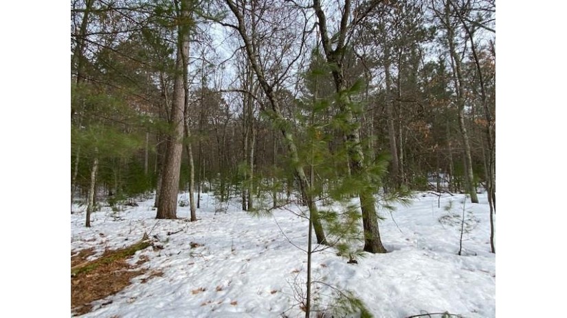 W6949 Narrows Trail Minong, WI 54859 by Lakewoods Real Estate $139,900
