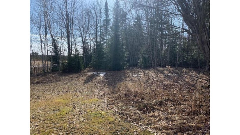 On Hwy 13 Park Falls, WI 54552 by Birchland Realty Inc./Park Falls $29,900