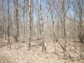 LOT#99 and 100 Woods (spruce) Avenue, Birchwood, WI 54817
