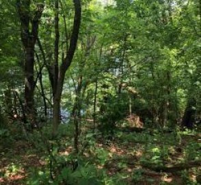 Lot 5 Eagle Point Road, Menomonie, WI 54751