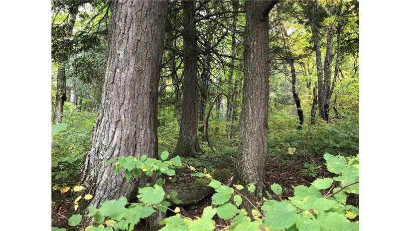 80 acres Namakagon Sunset Road Cable, WI 54821 by Coldwell Banker Real Estate Consultants $175,000