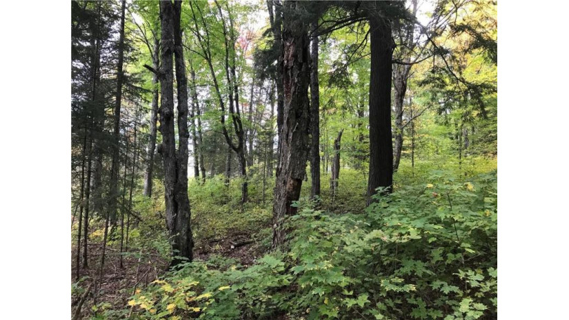 80 acres Namakagon Sunset Road Cable, WI 54821 by Coldwell Banker Real Estate Consultants $175,000