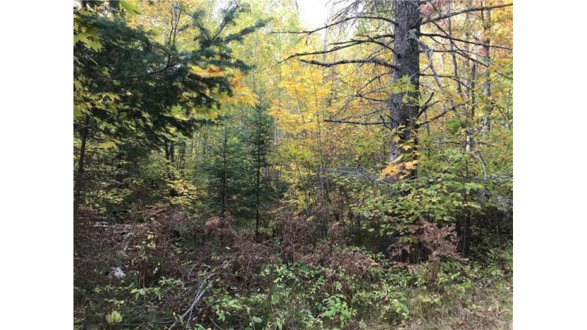 80 acres Namakagon Sunset Road Cable, WI 54821 by Coldwell Banker Real Estate Consultants $130,000