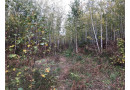 80 acres Namakagon Sunset Road, Cable, WI 54821 by Coldwell Banker Real Estate Consultants $175,000