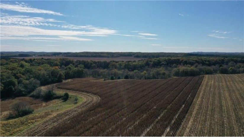 Lot 40 Lowes Creek Road Eleva, WI 54701 by C & M Realty $69,900