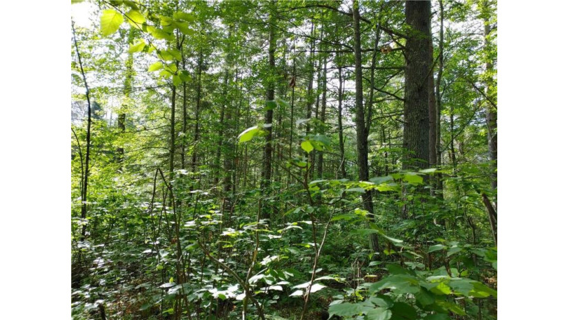 Lot 15 Hemlock Court Cable, WI 54821 by Camp David Realty $9,900