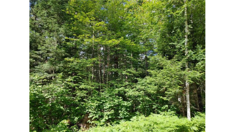 Lot 15 Hemlock Court Cable, WI 54821 by Camp David Realty $9,900