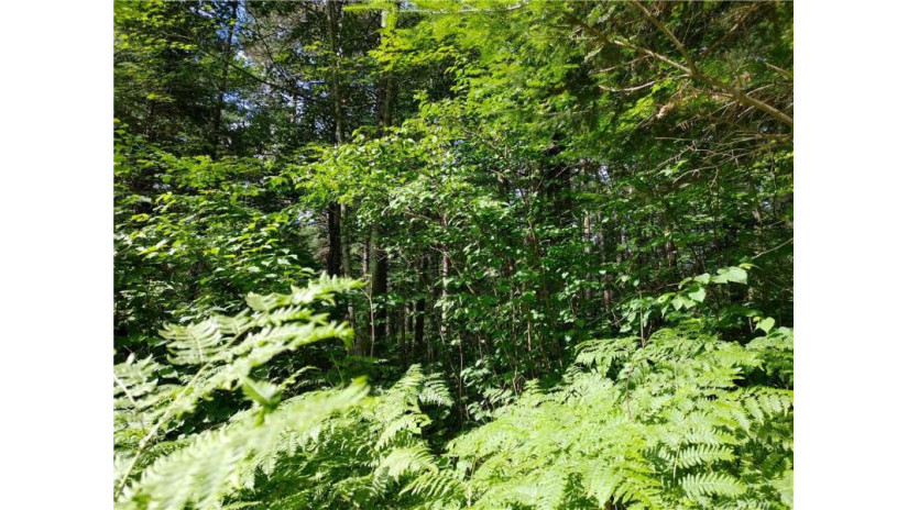 Lot 15 Hemlock Court Cable, WI 54821 by Camp David Realty $9,900