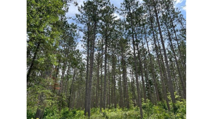 8798 East County Road T Minong, WI 54859 by Timber Ghost Realty Llc $4,275,000