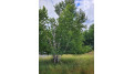 XXX Lot 2.8 Tony Street Osceola, WI 54020 by Timber Ghost Realty Llc $21,900