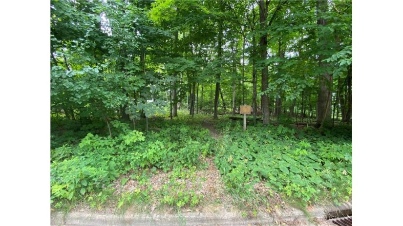 Lot 3 Ironwood Street Barron, WI 54812 by Re/Max Affiliates Bloomer $24,000