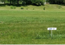 Lot 8 Nelson Drive, Elmwood, WI 54740 by Coldwell Banker Realty Hds $24,900