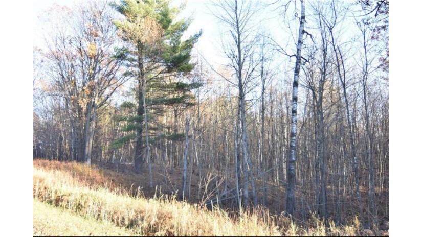 11 Acres Chippewa Trail New Auburn, WI 54757 by Larson Realty $75,000