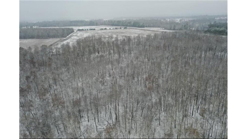 000 Nelson Road Danbury, WI 54830 by Whitetail Properties Real Estate $69,999