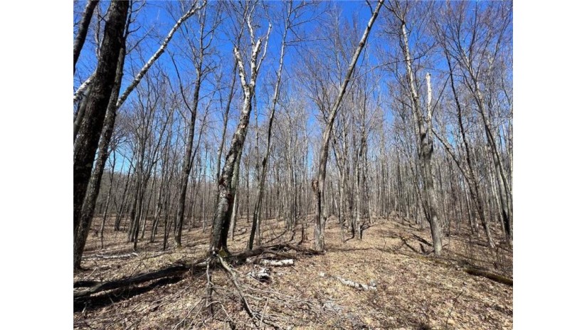 TBD Highway I Minong, WI 54859 by Timber Ghost Realty Llc $34,900