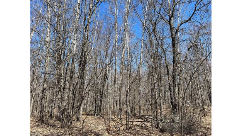 TBD Highway I Minong, WI 54859 by Timber Ghost Realty Llc $34,900