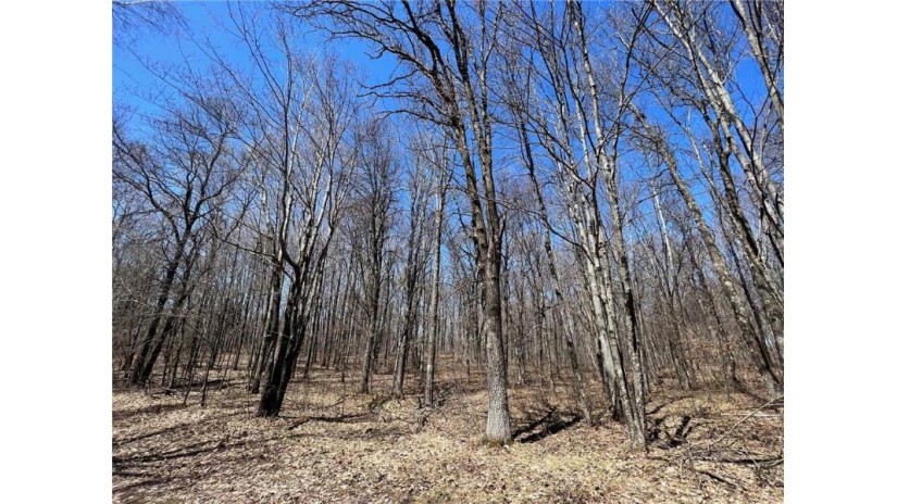 TBD Highway I Minong, WI 54859 by Timber Ghost Realty Llc $34,900